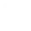 Icône LinkedIn